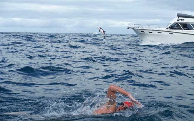 adam walker swimming the Gibralter Straits with dolphin