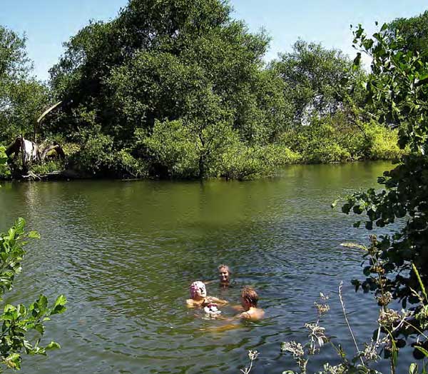 brockwell lido swimmers in the Thames